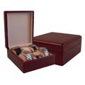 watch box  ca06